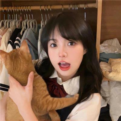 九个完美陌生人第二季